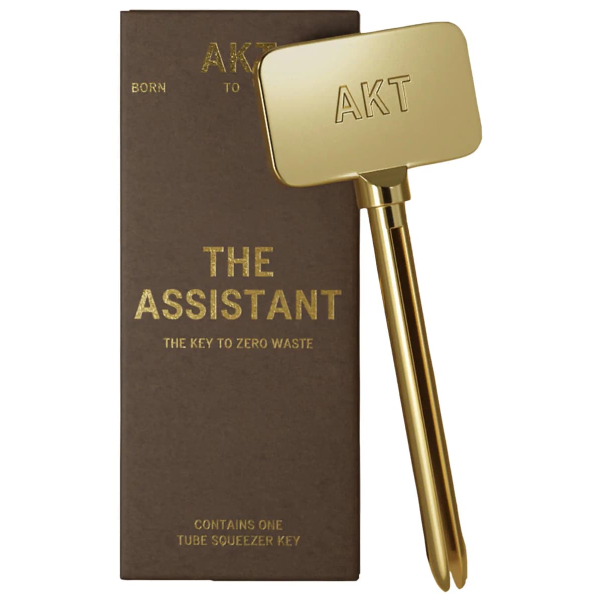 The Assistant